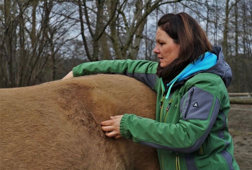 Physiotherapie Osteopathie Kinesiologie