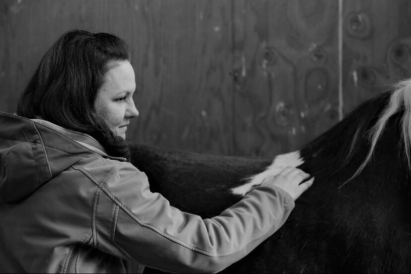 Pferdephysiotherapie Behandlungsweisen