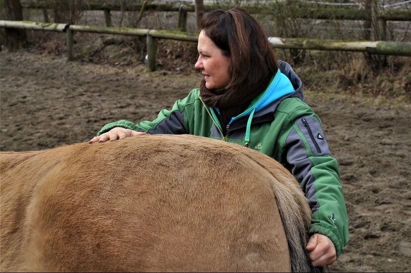 Physiotherapie Behandlungsweisen